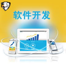軟件外包服務(wù)全解析 報(bào)價(jià)、收費(fèi)模式與九品制服務(wù)分級